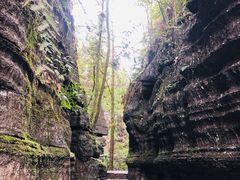 -梭布垭石林景区