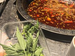 -大鱼山房鱼头火锅(老字号品质店)