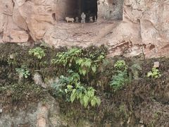 -乐山市博物馆