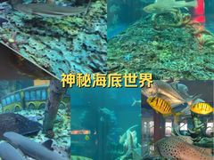 -石林冰雪海洋世界