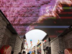 -东海半边山旅游度假区