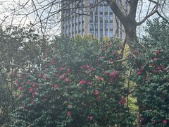 -杭州市第三人民医院