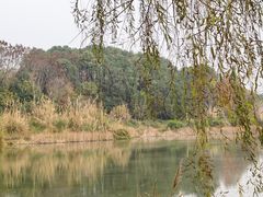 -白鹭湾湿地公园