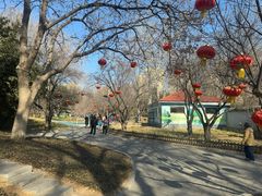 -丰台花园