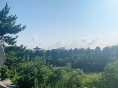 -渡海小渔村.老辈日照菜