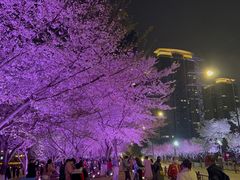 -西北湖绿化广场