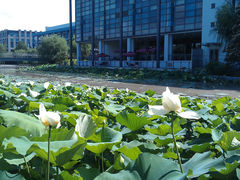 -复旦大学(张江校区)