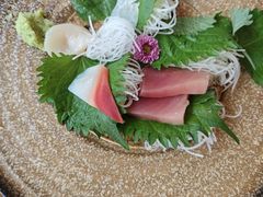 -天正河鲀·河豚亭(大连店)