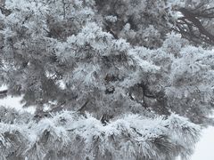 -秦岭终南山世界地质公园翠华山景区