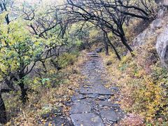 -阳台山自然风景区