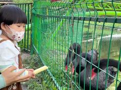 -长白岛森林公园