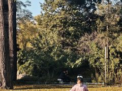 -近春园遗址