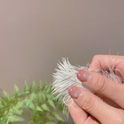 -LR HOUSE美甲美睫