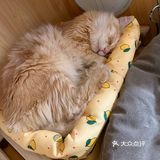大概有十几只猫，爱睡比较好静，不是特别亲人
