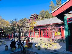 -宫事颐庭·老佛爷贵寿下午茶(颐和园店)