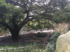 -晓港公园