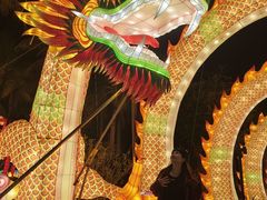 -欢乐海岸椰林沙滩-2025湾区超级灯会