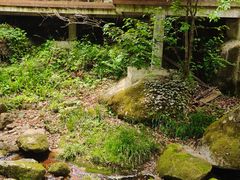 -苍龙峡风景区