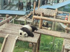 -大连森林动物园