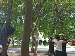 -长春公园(普阳街道)