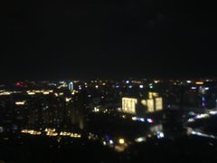 -339旋转餐厅(天府熊猫塔店)