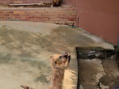 -杭州野生动物世界