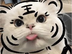 -贝勒爷·酥不腻烤鸭