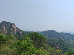 -大岭沟猕猴桃谷风景区