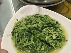 -旅宁大酒店