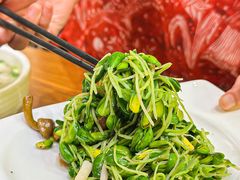 -沪上馨和小馆•海派上海菜(陆家浜路店)
