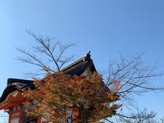 -有栖山 清光院 清水寺