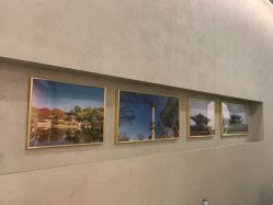 -上海首尔丽格医疗美容医院