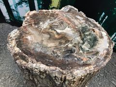 -延庆地质公园博物馆