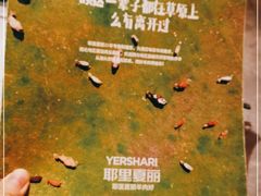 -耶里夏丽·丝路新疆菜·清真食品(徐汇南丹东路臻选店)