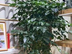 -方快-照相馆(金桥国际店)