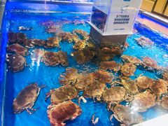 -盒马鲜生(枣园路店)
