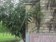 -重庆彩云湖湿地公园