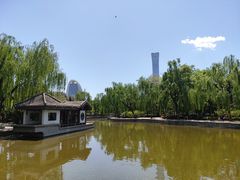 -团结湖公园