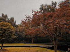 -同里国家湿地公园
