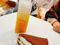 -滚猫咖啡·猫咖·猫友好撸猫(未来城店)