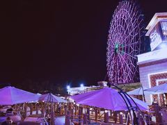 -三亚海昌梦幻海洋不夜城