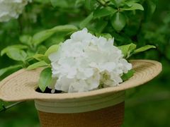 -上海滨江森林公园