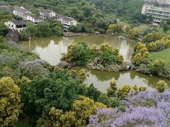 -张坝桂圆林公园
