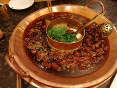 -老码头火锅(玉林店)