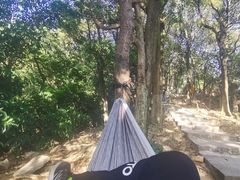 -火炉山森林公园