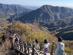 -大岭沟猕猴桃谷风景区