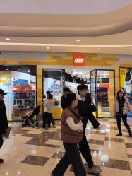 -乐高授权专卖店(济南万象城店)