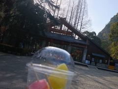 -领鲜土菜馆