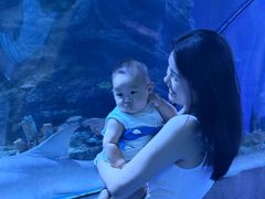 -太平洋海底世界