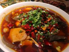 毛血旺-向川南·水煮鱼·川菜(和平里店)